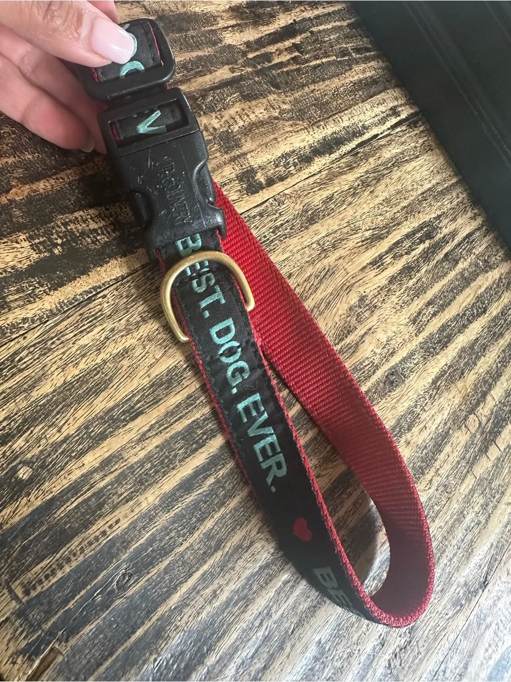 Vivacouture Black Collar with Teal Embroidered Text and Red Stitching
